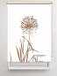 Preview: Rollo Allium 24 blanco Cappuccino, Rollo, Motivrollo, Rollo mit Druck, Fotorollo, bedrucktes Rollo, Fensterrollo,verdunkelndes Rollo, Sonnenschutz Rollo